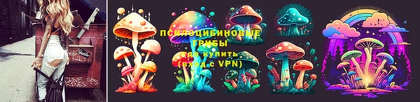 ПСИЛОЦИБИНОВЫЕ ГРИБЫ Краснослободск