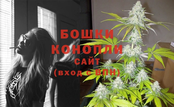 стаф Красноперекопск