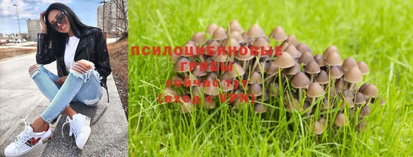 скорость Краснотурьинск