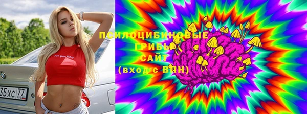 ПСИЛОЦИБИНОВЫЕ ГРИБЫ Краснослободск