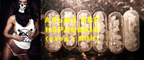 ПСИЛОЦИБИНОВЫЕ ГРИБЫ Краснослободск